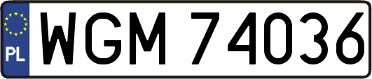 WGM74036
