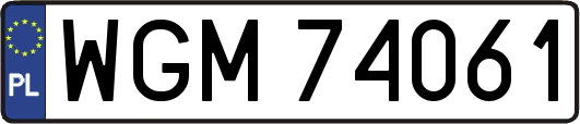 WGM74061