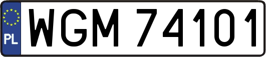 WGM74101