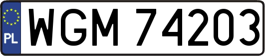 WGM74203