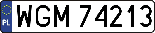 WGM74213