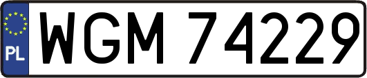 WGM74229