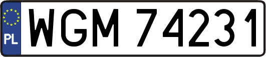 WGM74231