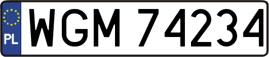 WGM74234
