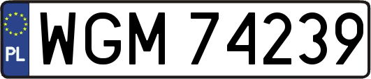 WGM74239