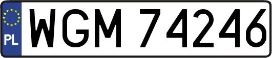 WGM74246