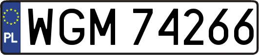 WGM74266