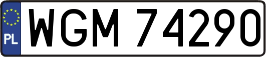 WGM74290