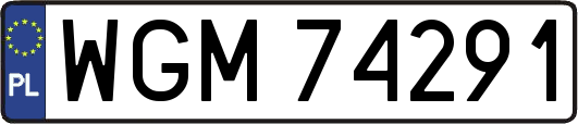 WGM74291