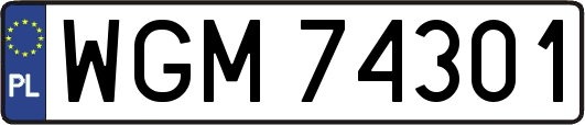WGM74301