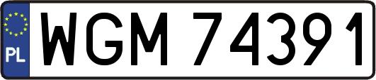 WGM74391