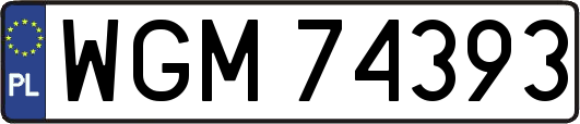 WGM74393