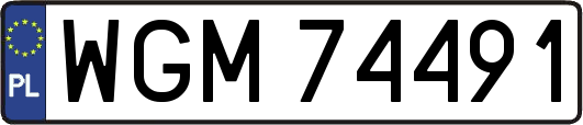 WGM74491