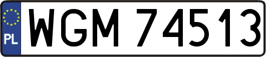 WGM74513