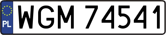WGM74541