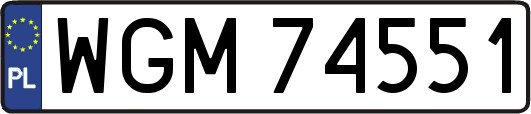 WGM74551