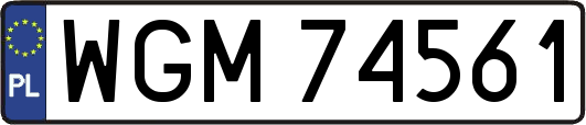 WGM74561