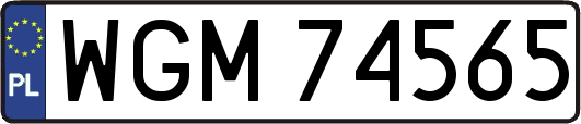 WGM74565
