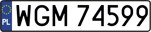 WGM74599
