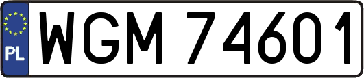 WGM74601