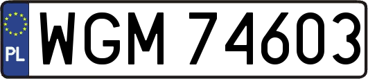 WGM74603