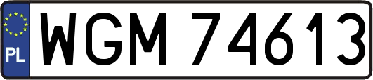 WGM74613