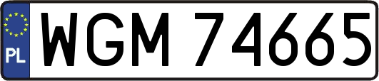 WGM74665