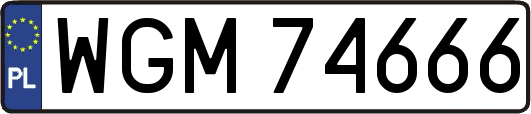 WGM74666