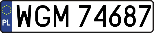 WGM74687