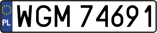 WGM74691