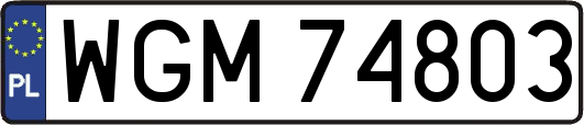 WGM74803