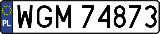 WGM74873