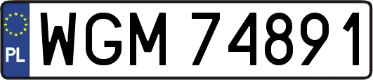 WGM74891