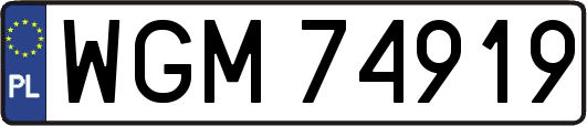 WGM74919
