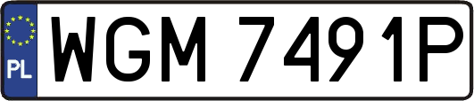 WGM7491P