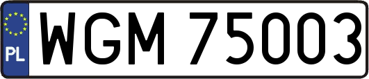 WGM75003