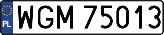 WGM75013
