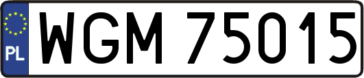 WGM75015