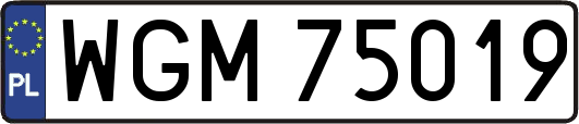 WGM75019
