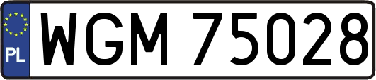 WGM75028
