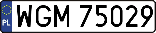 WGM75029