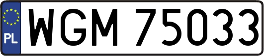 WGM75033