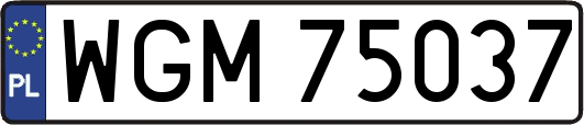 WGM75037