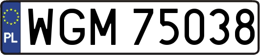 WGM75038