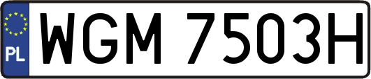 WGM7503H