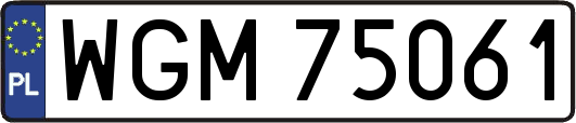 WGM75061