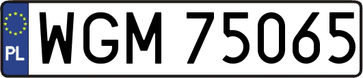 WGM75065