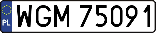 WGM75091