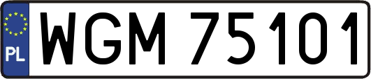 WGM75101