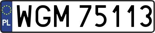 WGM75113